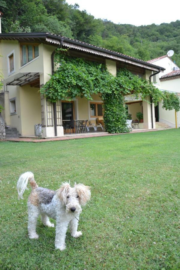 B&B Ca' Dell'Ortolan Villaga Dış mekan fotoğraf